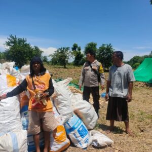 BHABINKAMTIBMAS DESA EKAS BUANA MONITORING PANEN JAGUNG WARGA DI DUSUN KUWANG ADIL