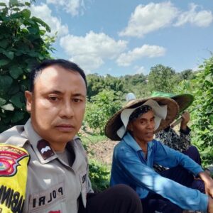 Bhabinkamtibmas Desa Pandan Duri Laksanakan Koordinasi Penanaman Jagung di Wilayah Terara