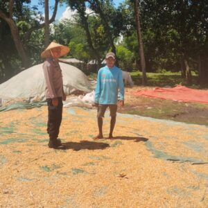 DORONG KETAHANAN PANGAN DAN AJAK PETANI SALURKAN HASIL PANEN KE BULOG