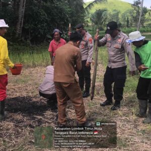 Kapolsek Terara Pimpin Penanaman Jagung Bersama Kelompok Tani di Selagik