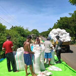 BHABINKAMTIBMAS POLSEK HU’U PANTAU PANEN JAGUNG WARGA, DUKUNG KETAHANAN PANGAN NASIONAL