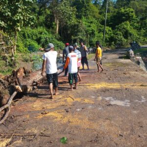 Sinergi Pasca Banjir, BKTM Desa Sempe dan Warga Kompak Bersihkan Sumbatan Kayu di Jembatan Berang Odong