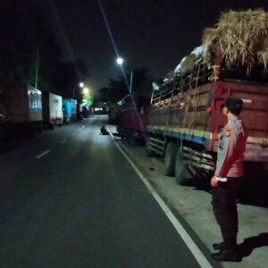 Geliat Pengiriman Ternak Sapi dari Lembar ke Jawa: Ribuan Ekor Mulai Membanjiri Pasar Jelang Puncak Permintaan