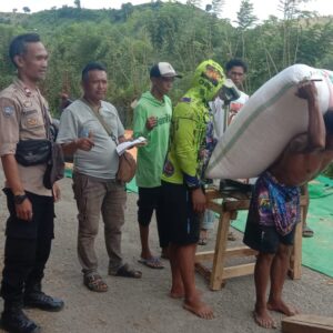 Bhabinkamtibmas Desa Rababaka Pantau Panen Jagung, Dukung Ketahanan Pangan Nasional