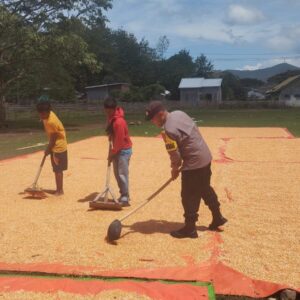 Bhabinkamtibmas Kempo Aktif Dampingi Petani Jagung
