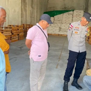 Sinergi Ketahanan Pangan: Puluhan Ton Jagung dari Sekotong Resmi Didistribusikan ke Gudang Bulog