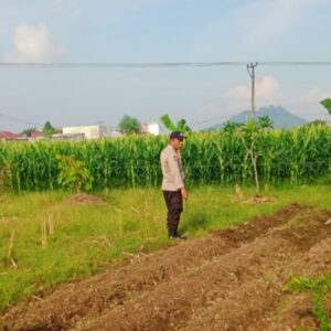 Wujudkan Kemandirian Agraria, Personel Polsek Labuapi Turun Langsung Dampingi Petani Olah Lahan Produktif