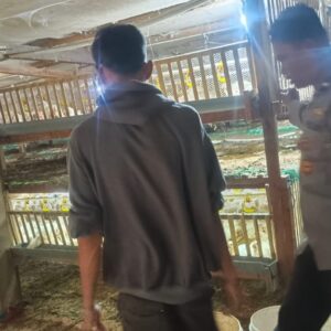 Kemandirian Pangan Desa Beleke: Sinergi Bhabinkamtibmas dan Peternak Lokal demi Stabilitas Ekonomi