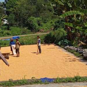 Kapolsek Manggelewa Apresiasi Kinerja Bhabinkamtibmas, Petani Semakin Terbantu