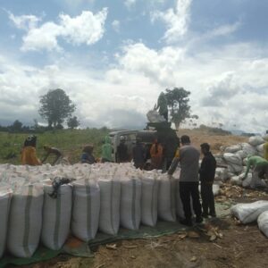 POLRES DOMPU DUKUNG KETAHANAN PANGAN, BHABINKAMTIBMAS DESA SANEO DAMPINGI PETANI JAGUNG DI WOJA