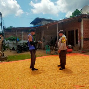 Ketahanan Pangan Jadi Prioritas, Bhabinkamtibmas Desa Jala Dampingi Petani Jagung