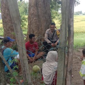Polsek Woja Dorong Petani Maksimalkan Produksi Padi Demi Ketahanan Pangan Nasional