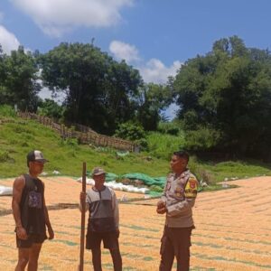 Kapolsek Pekat Dorong Bhabinkamtibmas Aktif Dampingi Petani di Desa Binaan