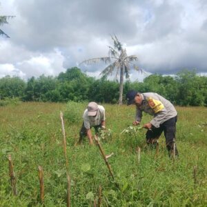 Bhabinkamtibmas Desa Tolo’oi Edukasi Petani Diversifikasi Lahan Pekarangan