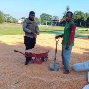 Polri Hadir untuk Petani, Polsek Hu’u Kawal Program Ketahanan Pangan Nasional