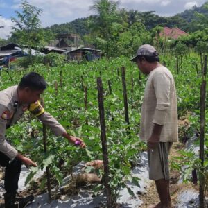 Bhabinkamtibmas Desa Manemeng Dorong Ketahanan Pangan Warga Lewat Pekarangan Bergizi