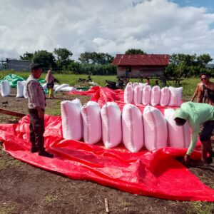 Wujud Kepedulian Polri, BKTM Doropeti Pantau Hasil Panen Jagung Masyarakat