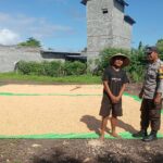 BHABINKAMTIBMAS POLSEK PEKAT DORONG PETANI SALURKAN HASIL PANEN KE GUDANG BULOG