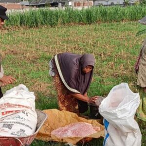 Kawal Distribusi Pupuk dan Motivasi Petani, Komitmen Polsek Labuapi Dukung Swasembada Pangan