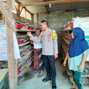 Dukung Keyahanan Pangan, Bhabinkamtibmas Desa Bagik Papan Cek Peternakan Burung Puyuh