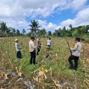 Polres Lombok Tengah Matangkan Persiapan Panen Raya Serentak Kuartal II Tahun 2026