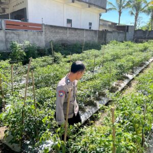 Bhabinkamtibmas Desa Kumbang Monitoring Ketahanan Pangan dan Ajak Warga Jaga Kamtibmas
