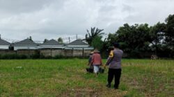 Langkah Cerdas Bhabinkamtibmas Karang Bongkot Sulap Pekarangan Rumah Jadi Sumber Ketahanan Pangan Warga