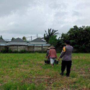 Langkah Cerdas Bhabinkamtibmas Karang Bongkot Sulap Pekarangan Rumah Jadi Sumber Ketahanan Pangan Warga