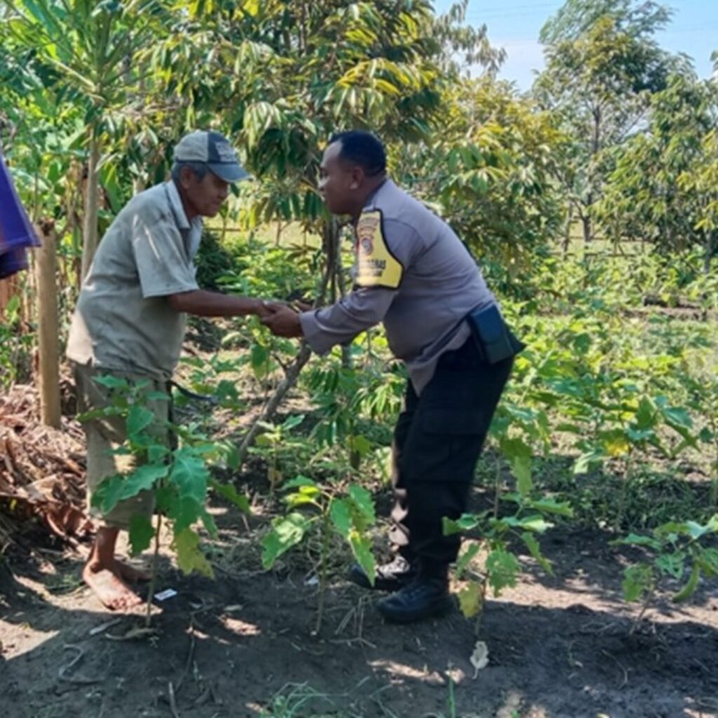 Sinergi Polisi dan Petani Lombok Barat Optimalkan Lahan Hortikultura Desa