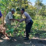 Bhabinkamtibmas Lombok Barat Dampingi Petani Hortikultura Sukseskan Ketahanan Pangan