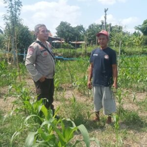 Bukan Patroli Biasa, Ini Langkah Nyata Polres Lombok Barat Jaga Ketahanan Pangan