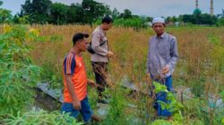 Bhabinkamtibmas Lombok Barat Gerakkan Warga Manfaatkan Pekarangan