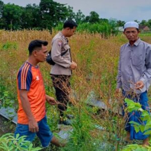 Bhabinkamtibmas Lombok Barat Gerakkan Warga Manfaatkan Pekarangan