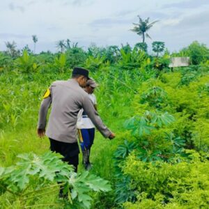 Polsek Labuapi Kawal Ketahanan Pangan di Lombok Barat