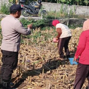 Polsek Labuapi Dorong Warga Karang Bongkot Manfaatkan Lahan Pekarangan