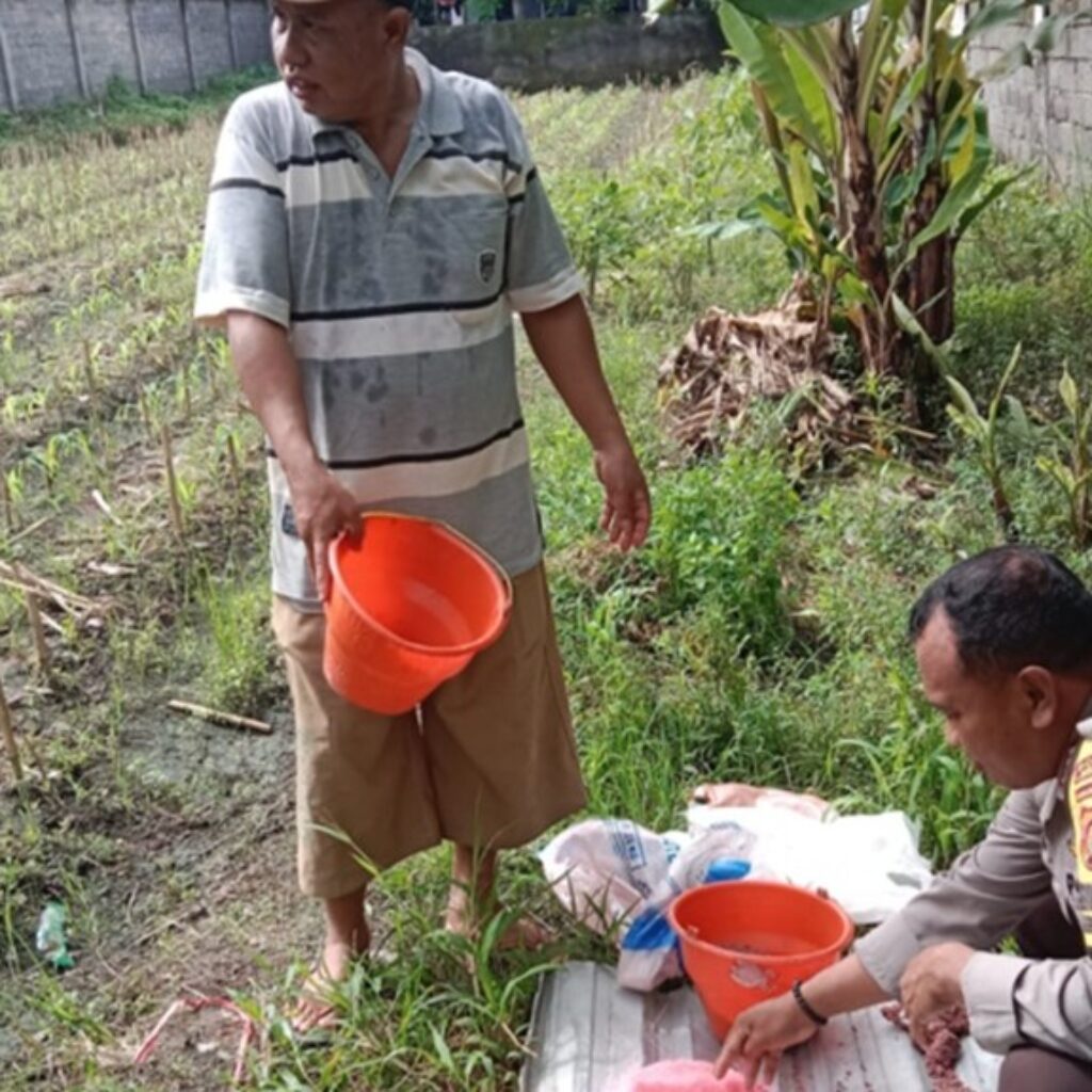Bhabinkamtibmas Labuapi Kawal Swasembada Pangan Desa