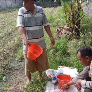 Sinergi Bhabinkamtibmas dan Petani Labuapi: Manfaatkan Lahan Pekarangan Demi Swasembada Pangan