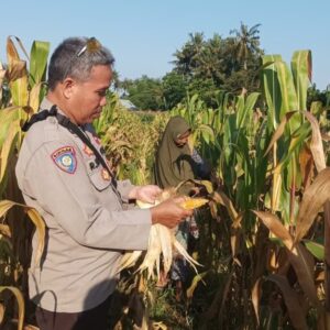 Polisi Ajak Warga Sandik Lombok Barat Manfaatkan Lahan Kosong