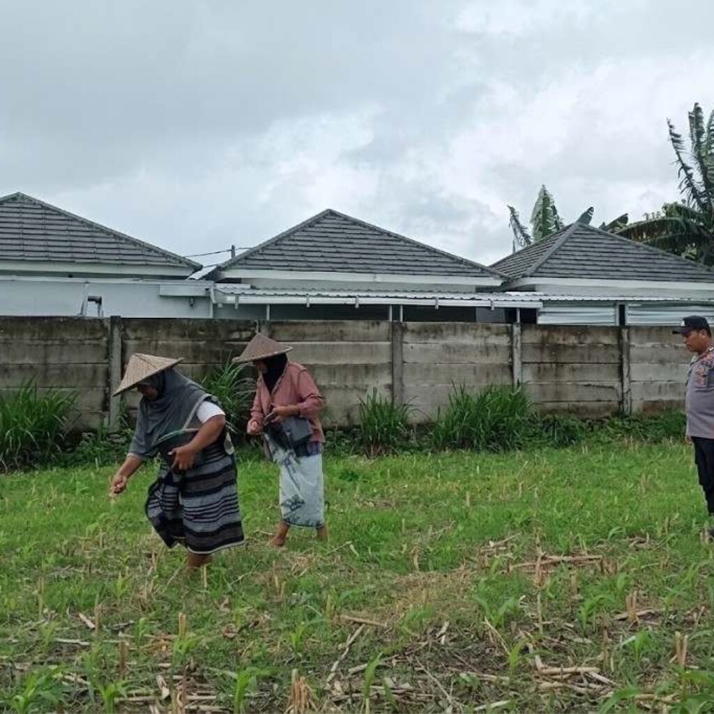 Upaya Polsek Labuapi Perkuat Ketahanan Pangan Lewat Lahan Pekarangan
