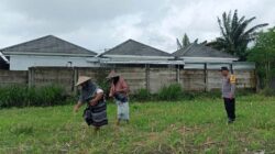 Upaya Polsek Labuapi Perkuat Ketahanan Pangan Lewat Lahan Pekarangan