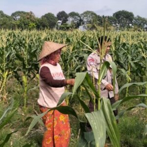 Rahasia Petani Lombok Barat Tetap Tangguh Jaga Ketahanan Pangan Bersama Polisi