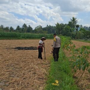 Bhabinkamtibmas Desa Sukadana Monitoring Tanaman Jagung Milik Kelompok Tani Dile Semprong I