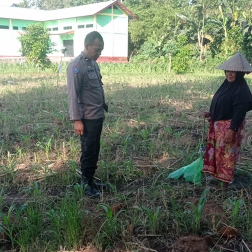 Lewat Pendampingan Intensif, Polres Lombok Barat Sukseskan Swasembada Pangan