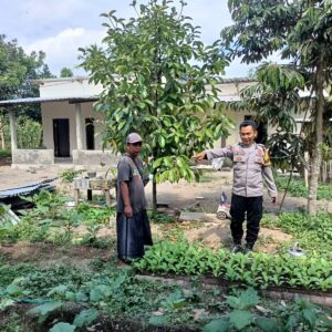 BHABINKAMTIBMAS KELURAHAN JONTLAK DORONG KETAHANAN PANGAN MELALUI DDS DAN SILATURAHMI DENGAN WARGA