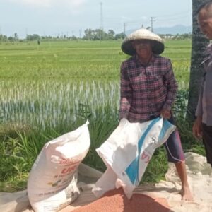 Bhabinkamtibmas Labuapi Pacu Sektor Pangan Desa Kuranji
