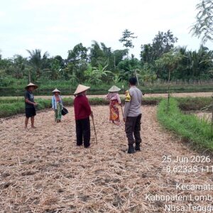 Bhabinkamtibmas Desa Lando Cek Pertumbuhan Tanaman Jagung Dukung Program Ketahanan Pangan Nasional
