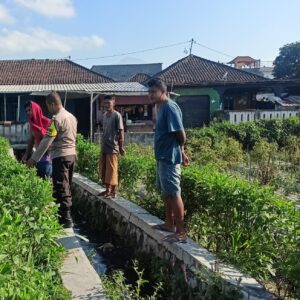 Bhabinkamtibmas Desa Masbagik Utara Kontrol Tanaman Warga untuk Dukung Ketahanan Pangan dan Jaga Kamtibmas