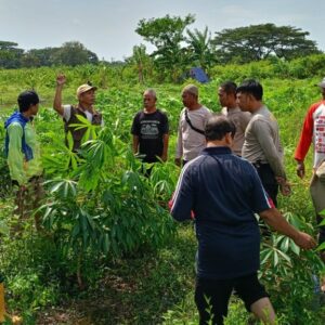 Polsek Batulayar Giatkan Ketahanan Pangan di Duduk Atas