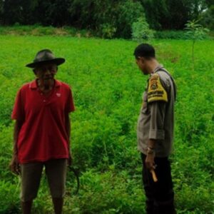 Langkah Kreatif Warga Lombok Barat Sulap Pekarangan Kosong Jadi Sumber Ketahanan Pangan Mandiri
