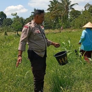 Bhabinkamtibmas Desa Merembu Ajak Warga Perkuat Ketahanan Pangan Menuju Swasembada Nasional